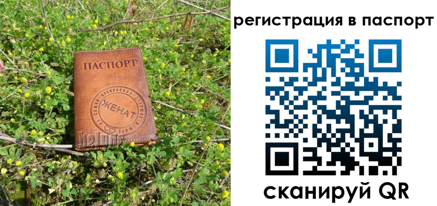 прописка законно в Отрадном